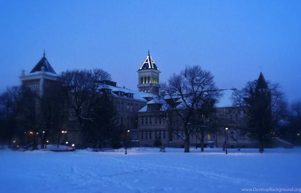 Things That I Forgot I Forgot: Utah State University