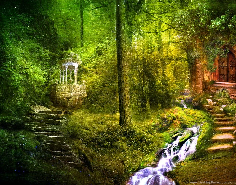 Fairy Forest Background Images