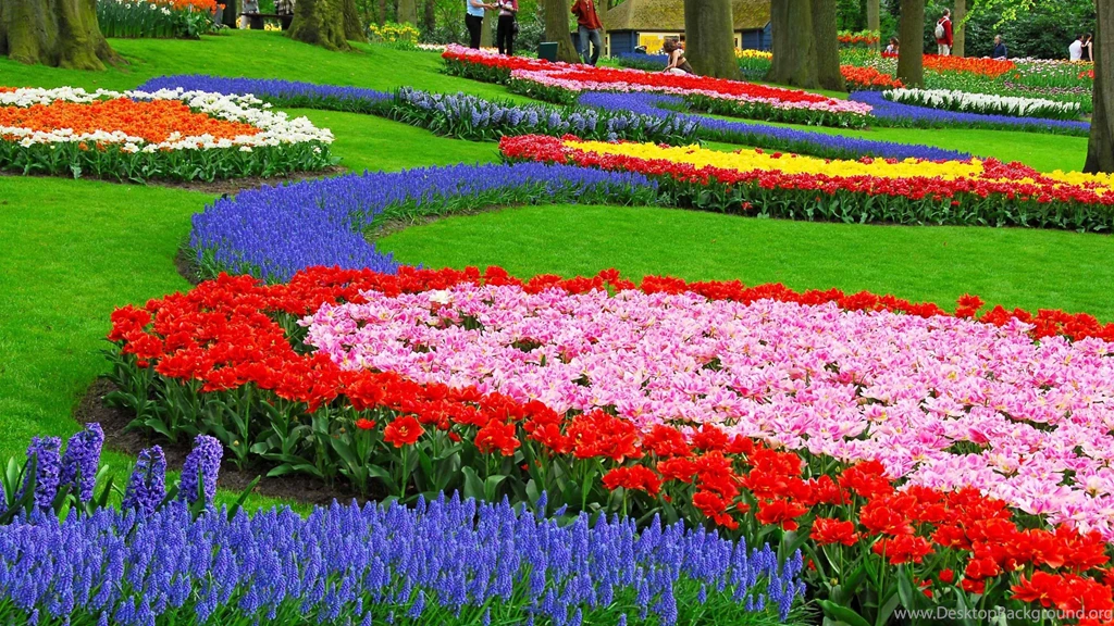Download Wallpapers 2048x1152 Tulips, Hyacinth, Muscari, Flowerbed ...