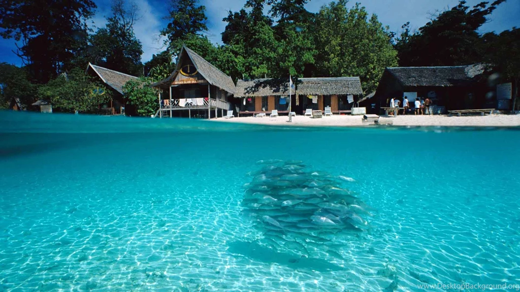 Nice Beach With Fish Hd Wallpapers