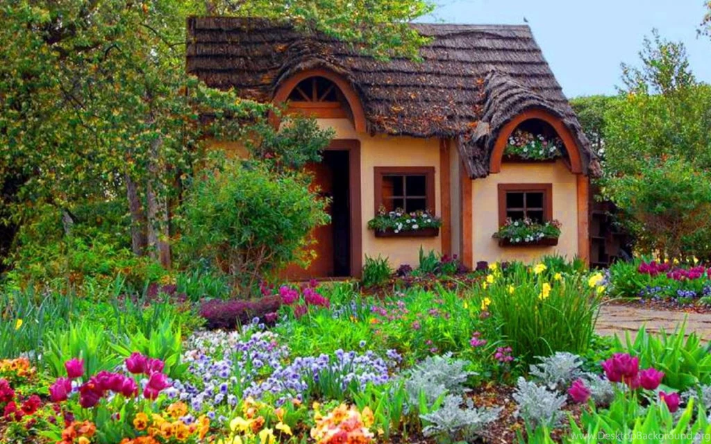 Sweet Home (