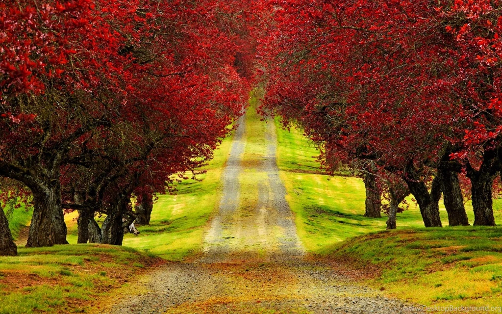 Amazing Wallpapers Download Free,desktop Wallpapers