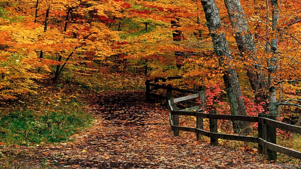 Mccormick Creek State Park Indiana, Woods, Autumn, 1920x1080 HD ...