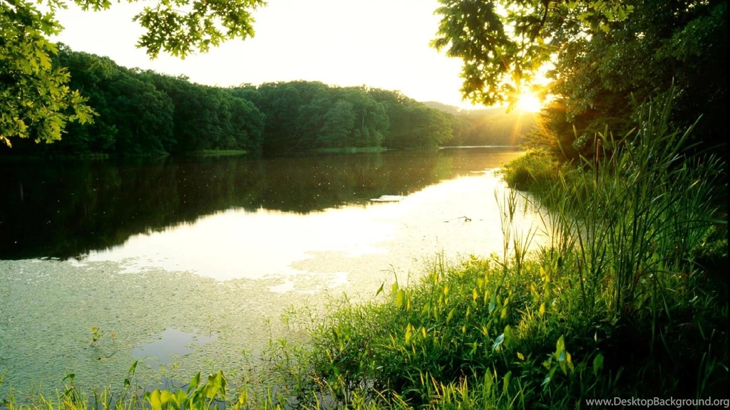 SCHLAMM LAKE SUNSET CLARK STATE FOREST INDIANA WALLPAPER (