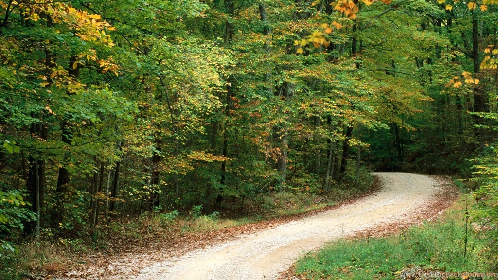 Country Road In Autumn, Nashville, Indiana Wallpapers ...