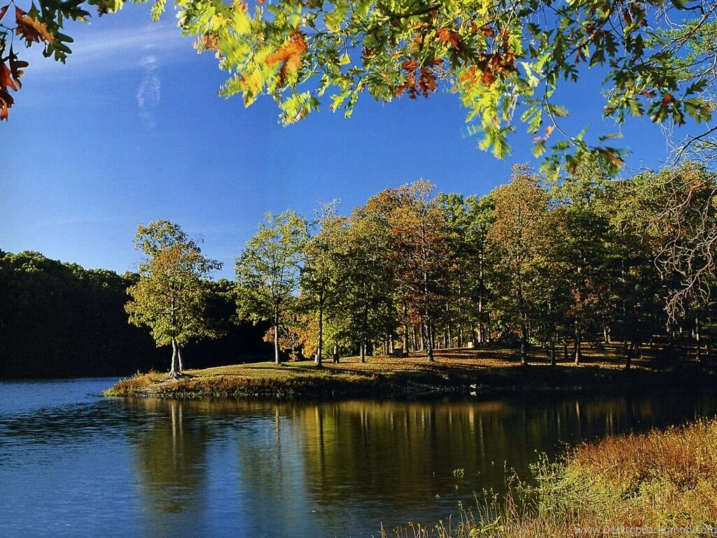 Indiana Clark State Forest Nature Wallpapers Image Featuring ...
