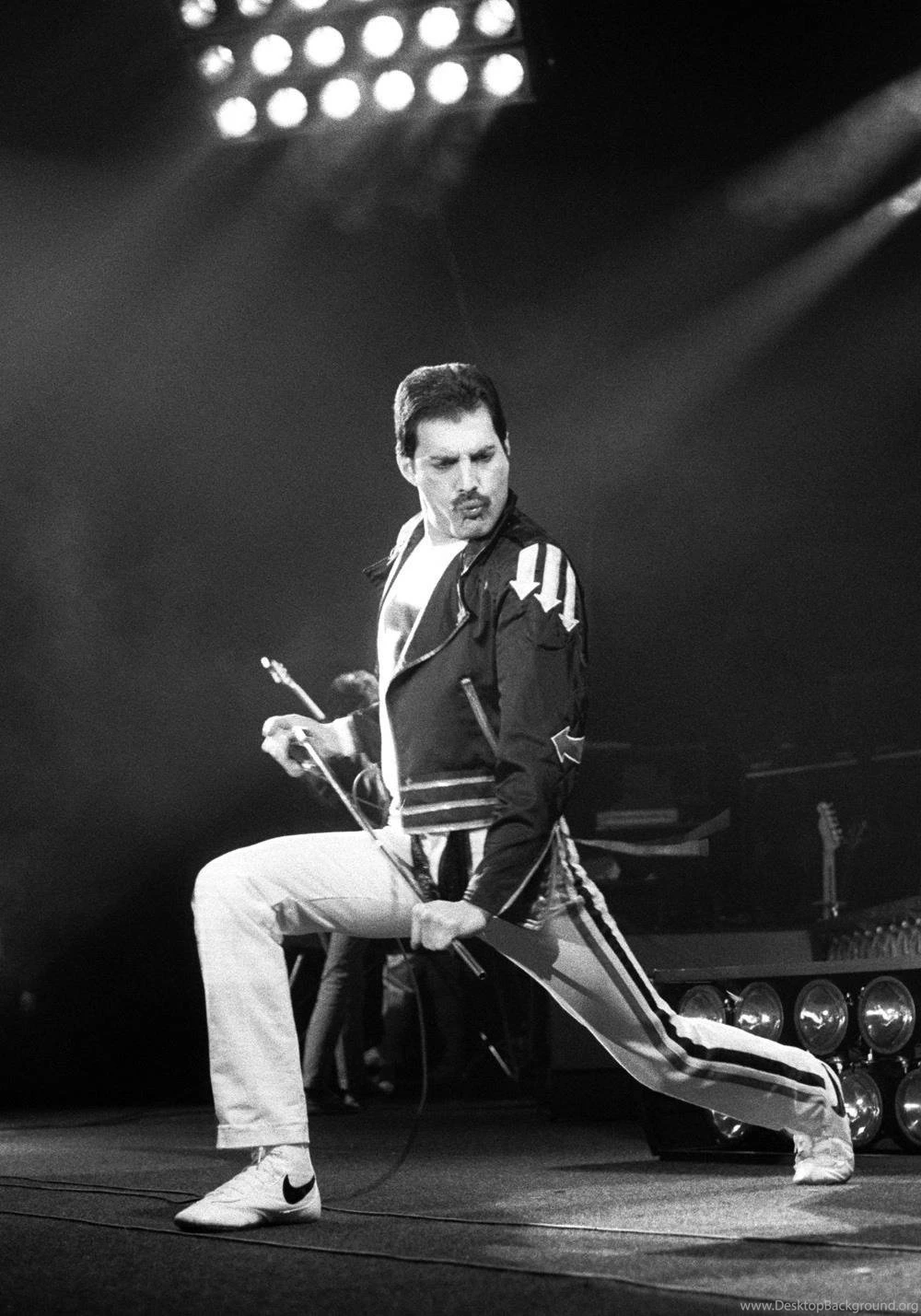 Freddie Mercury Photo, Pics, Wallpapers Photo