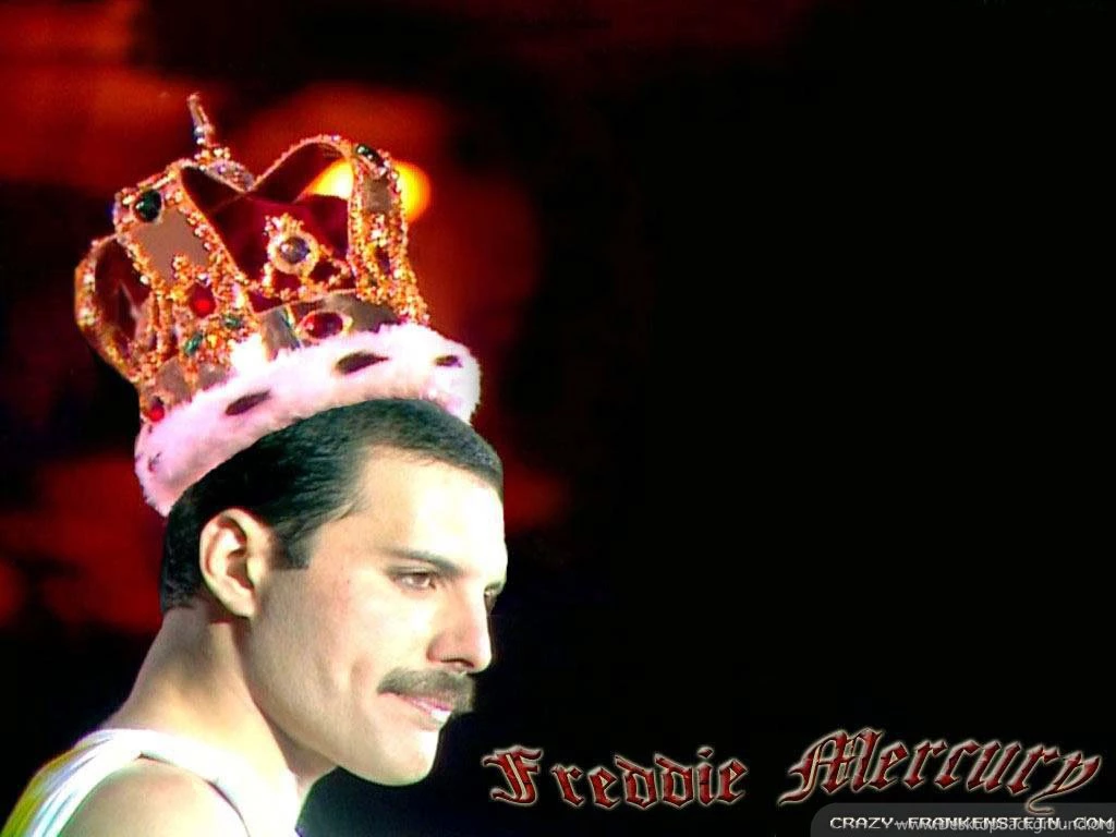 Freddie Mercury Wallpapers Male Celebrity Crazy Frankenstein