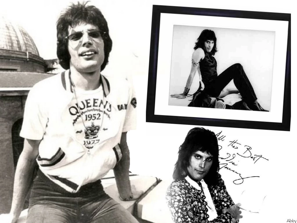 Freddie Freddie Mercury Wallpapers (29717363) Fanpop