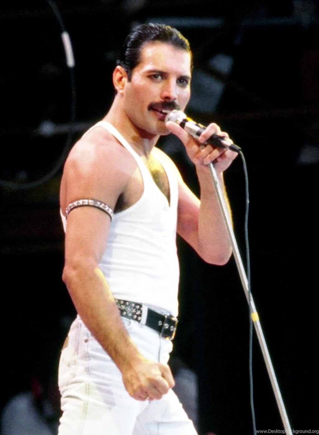 Freddie Mercury Photo, Pics, Wallpapers Photo