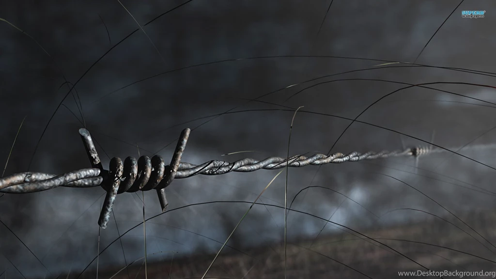 Barbed Wire Wallpapers Wallpapers Zone
