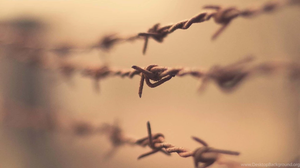 Fences Depth Of Field Barbed Wire Wallpapers