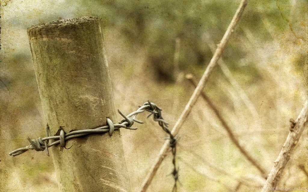 Barbed Wire Computer Wallpapers, Desktop Backgrounds