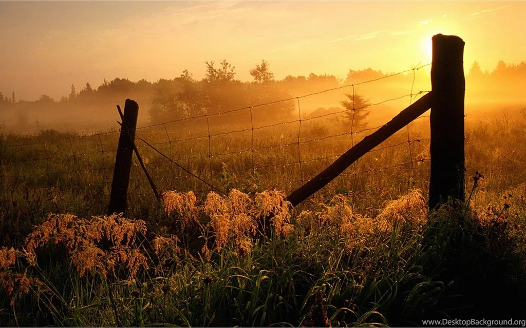 The Sunset Under Wilderness Barbed Wire Fence Photography ...