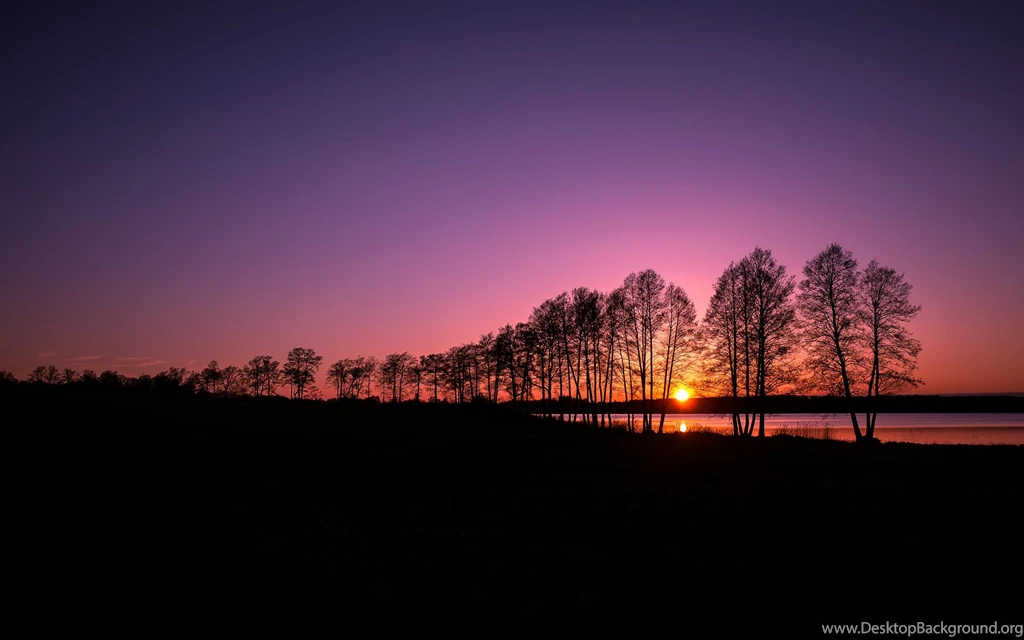 Hd 94473 Gorgeous Sunset Silhouette Wallpapers Landcapes HD ...