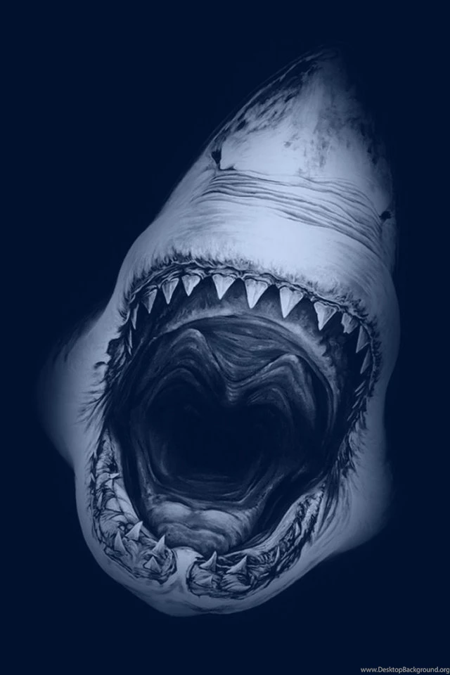 640x960 Great White Shark Iphone 4 Wallpapers
