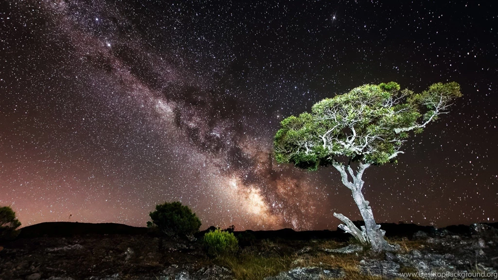 Nature, Sky, Night, Milky Way, Stars, Landscape, Trees, Rock, Hill ...