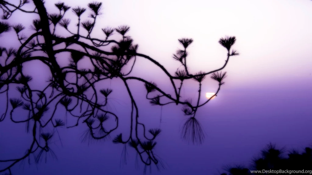 Beautiful Mist Wallpapers Hd (4)
