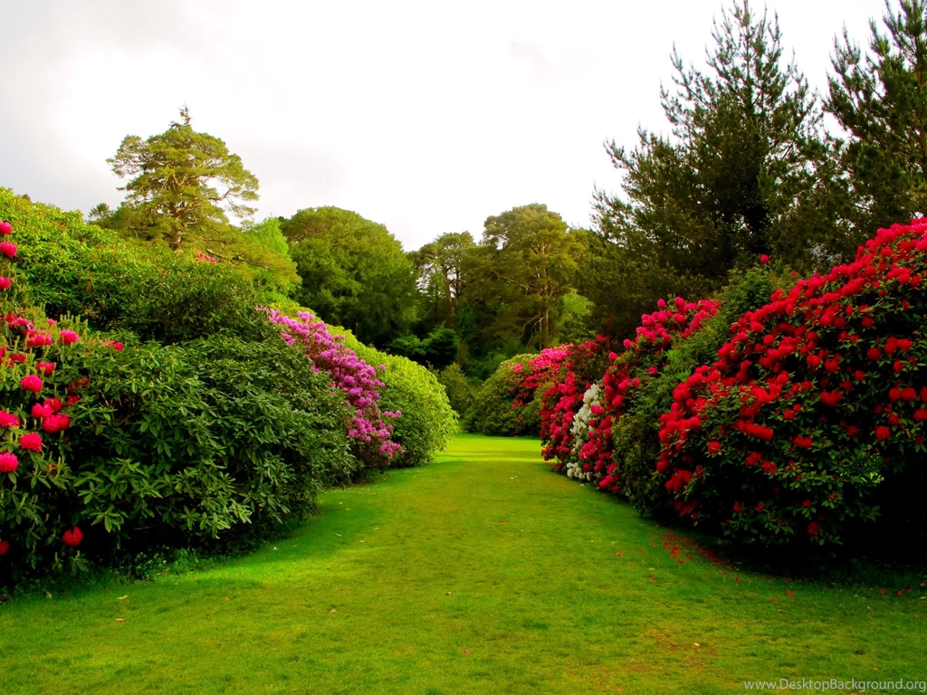 219 Garden HD Wallpapers