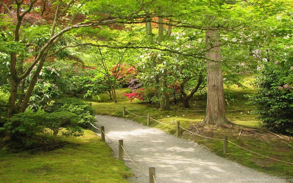 Japanese Garden Wallpapers