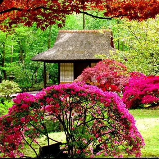 Garden Live Wallpapers Android Apps And Tests AndroidPIT