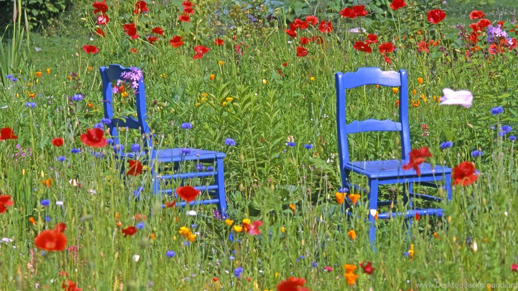 Red Flowers Summer Garden Wallpapers