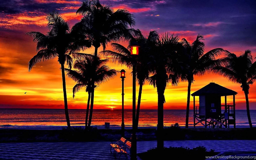 Tropical Sunset