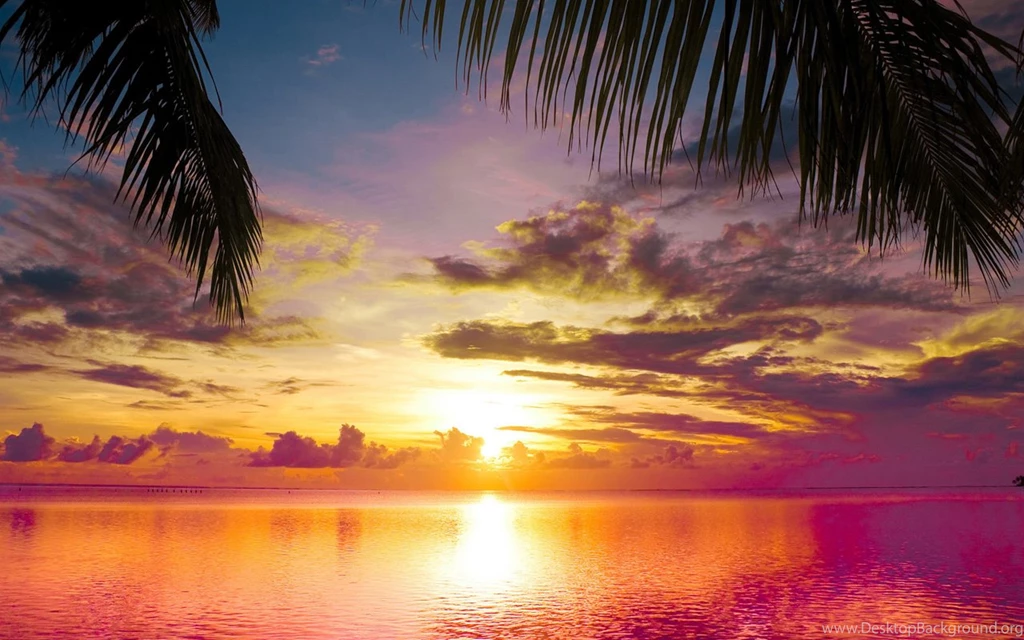 Tropical Sunset Seascape Wallpapers, HD Wallpapers Downloads