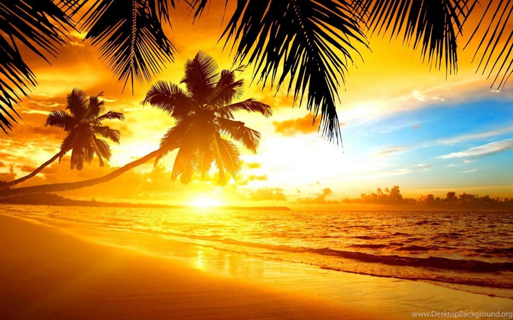 TROPICAL SUNSET WALLPAPER (