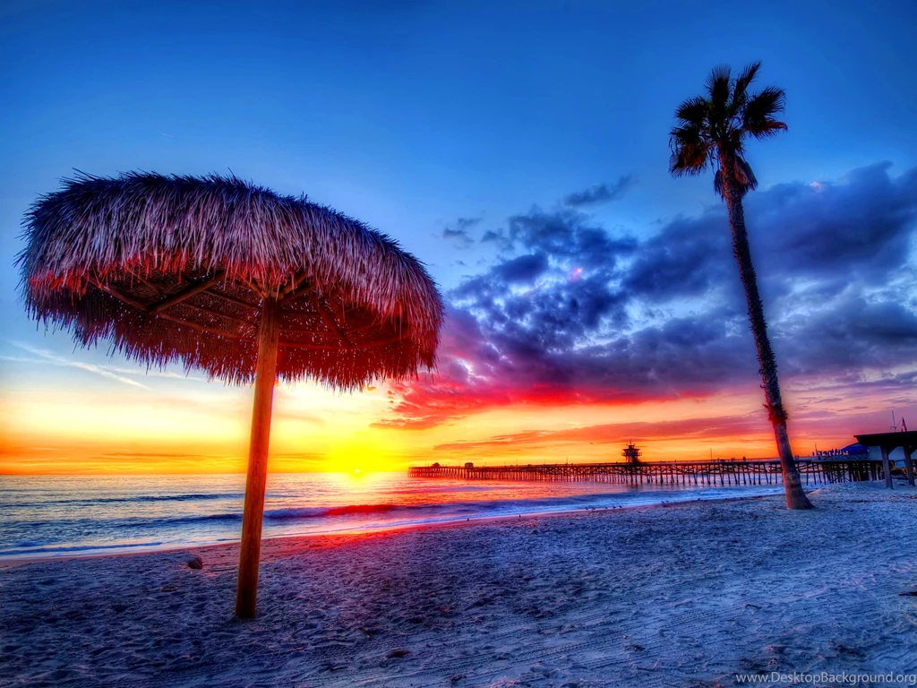 Blue Tropical Sunset