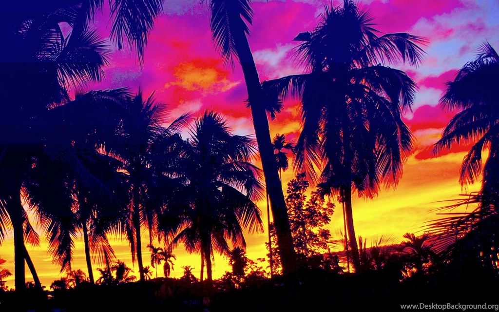 Tropics Sunset (