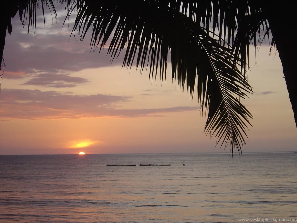 Sunset Wallpapers Palms, Island Sceneries