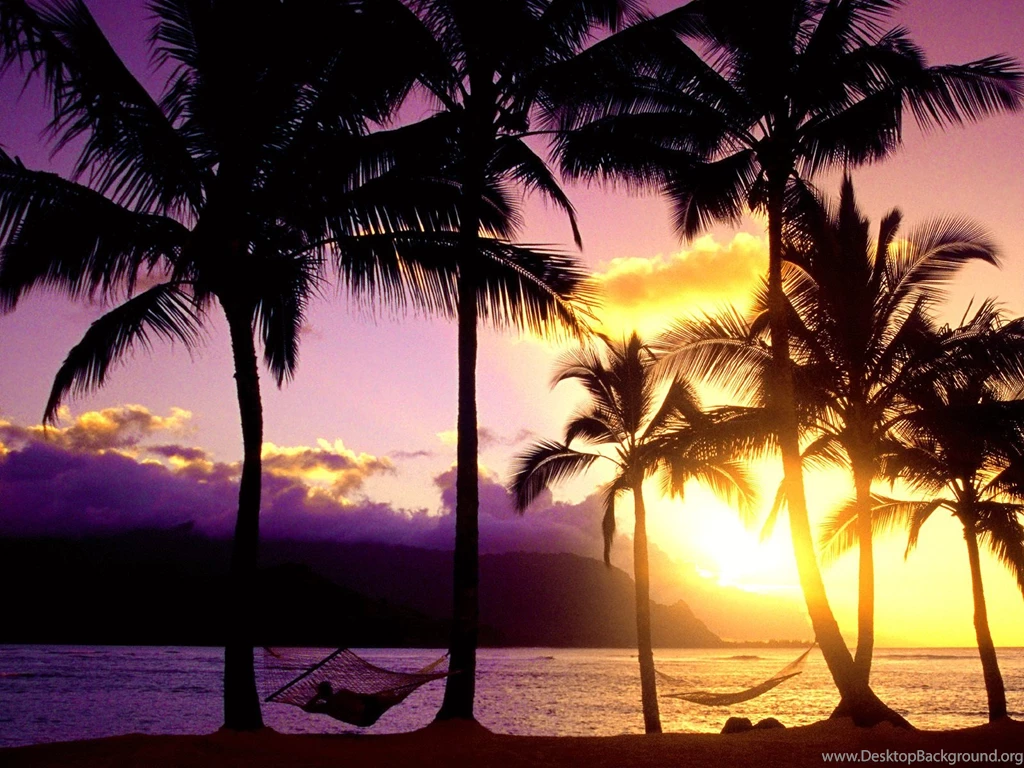 Tropical Sunset Wallpapers