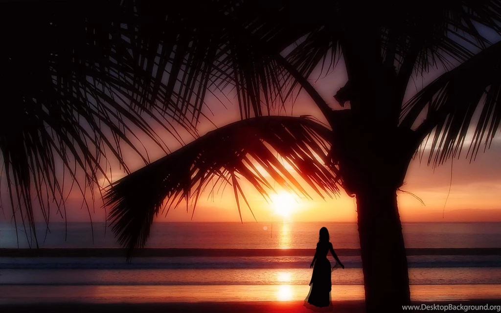 Tropical Sunset HD Desktop Wallpapers : Widescreen : High ...