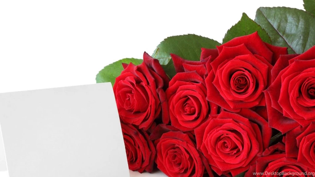 Red Roses For Free Download Beautiful Rose Flower Wallpapers Free ...