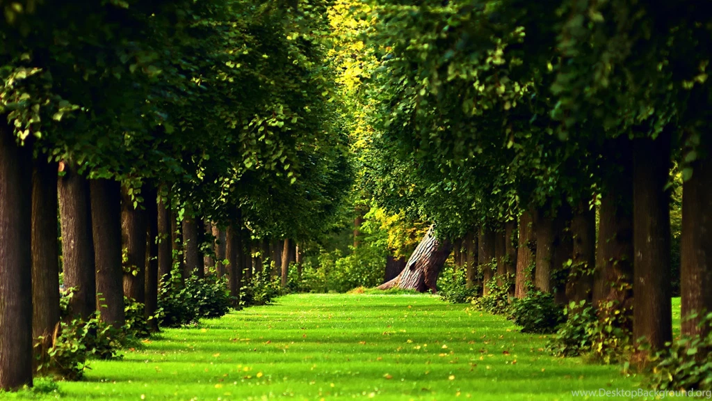 Hd Nature Wallpapers 1080p Pack