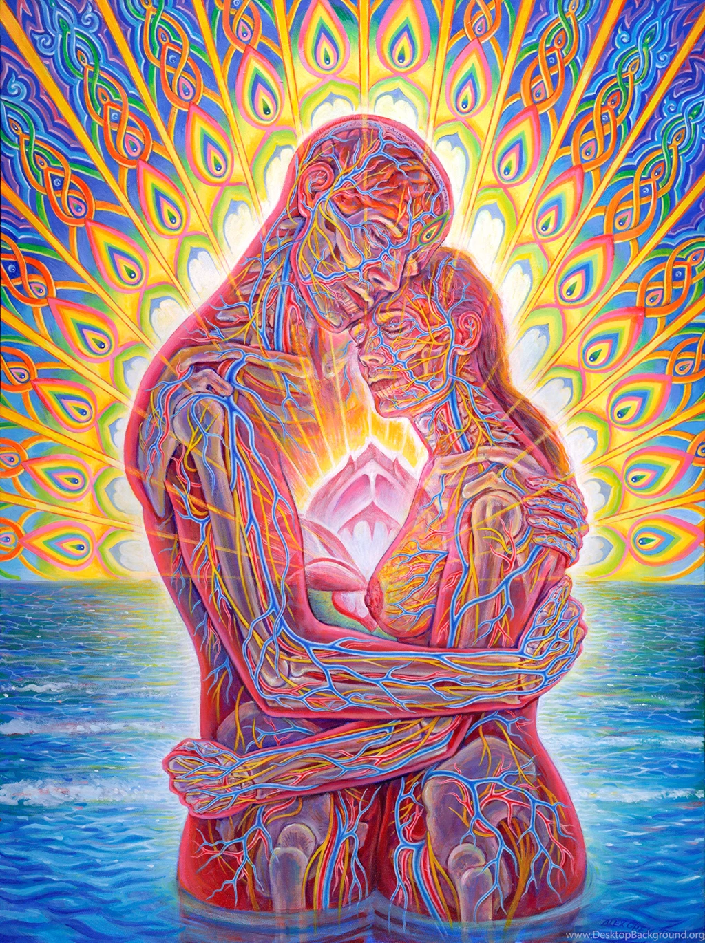 Wallpapers Alex Grey Gray 800x600