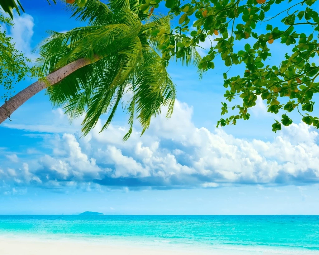 Tropical Beach Resorts HD Desktop Wallpapers : Widescreen : High ...