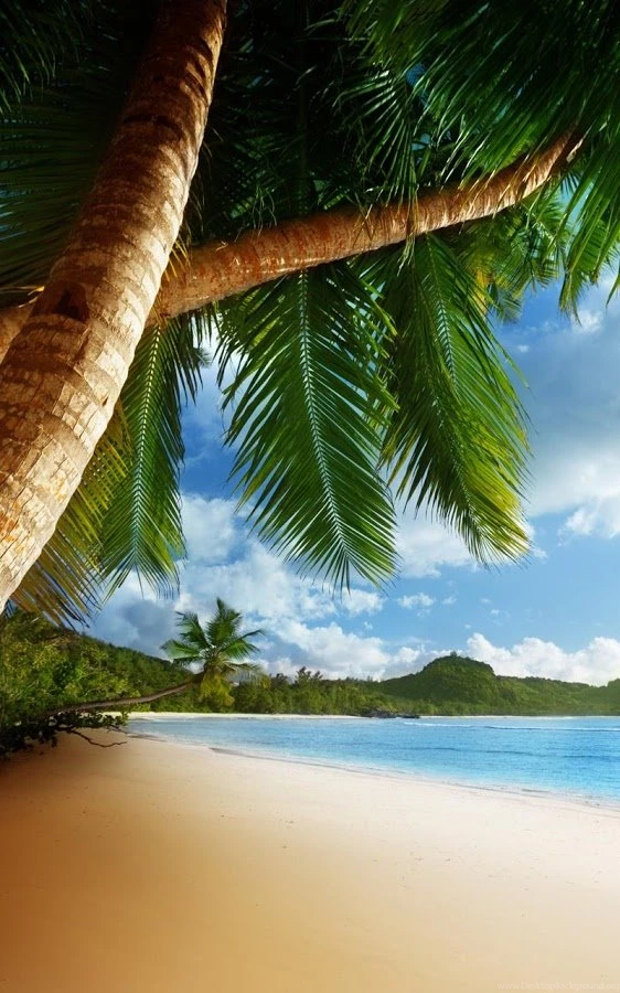 Tropical Beach Live Wallpapers Android Apps On Google Play