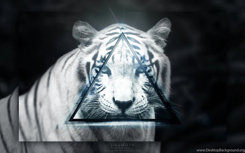 White Tiger Wallpapers 1920x1080 By JinyCZE On DeviantArt
