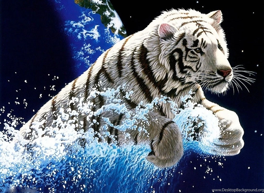 3d Black Tiger Wallpaper Image Num 59