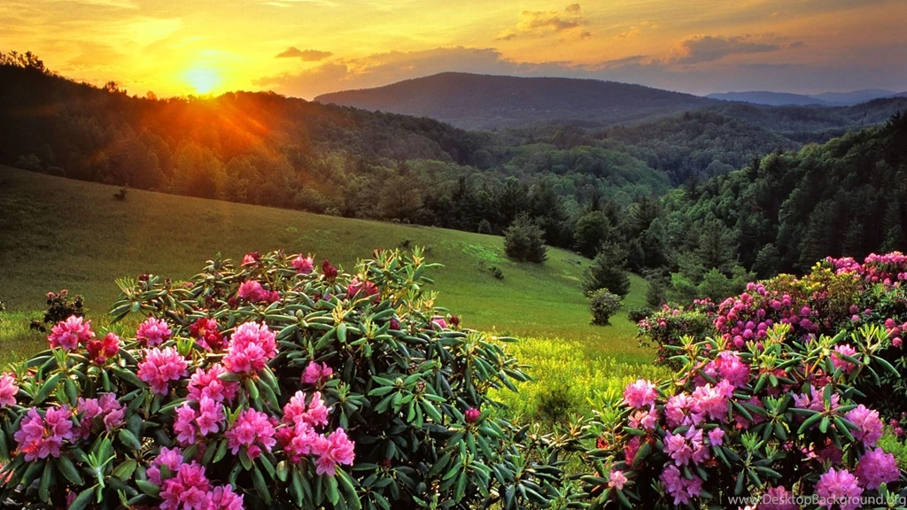 Best Scenery Wallpapers HD Wallpapers Zone