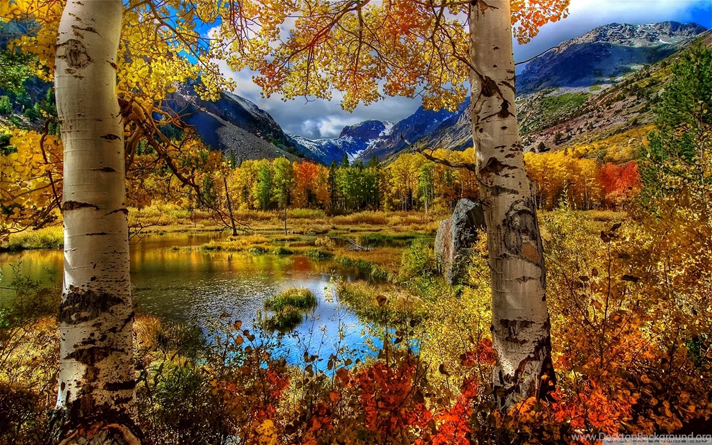 Perfect Autumn Scenery Wallpapers Full HD [2560x1600]   Free ...