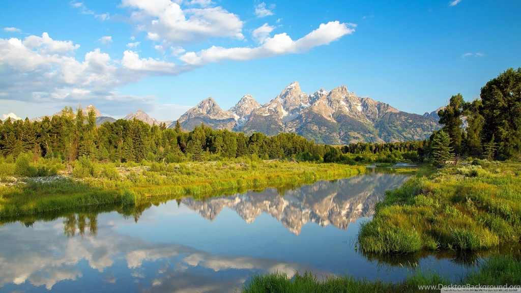 Morning Scenery Wallpapers Full HD [2560x1440]   Free Wallpapers ...