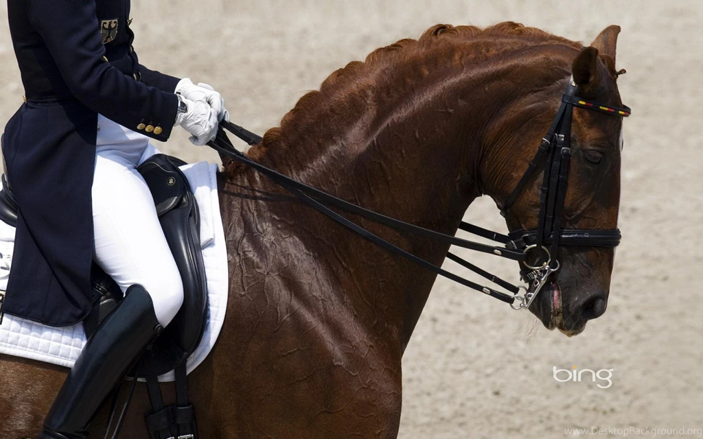 Tall And Gorgeous In The Outlook, Eyes Reveal The Horse A ...