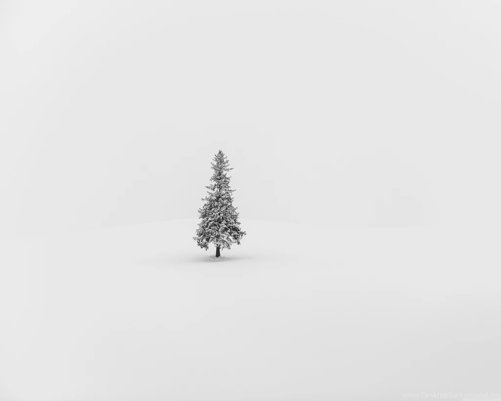 WallpapersWide.com
