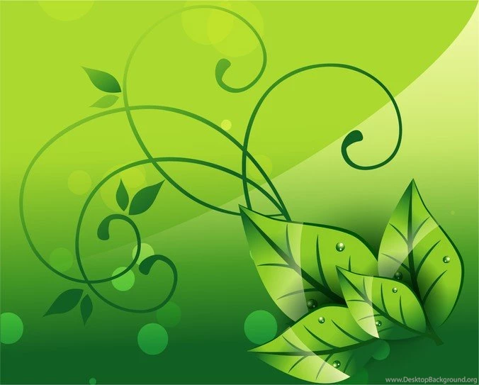 Elegant Nature Background, Vector Images 365PSD.com