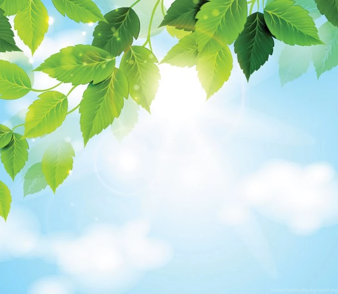 Sunny Sky With Green Leaves Backgrounds (Free), Vector 365PSD.com