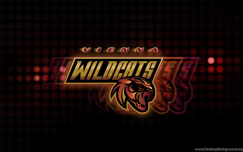 Vienna Wildcats Cheerleading Wallpapers