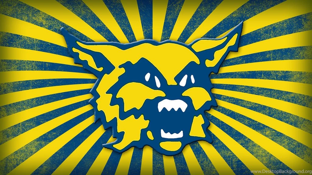 St Ignatius Wildcats Wallpapers